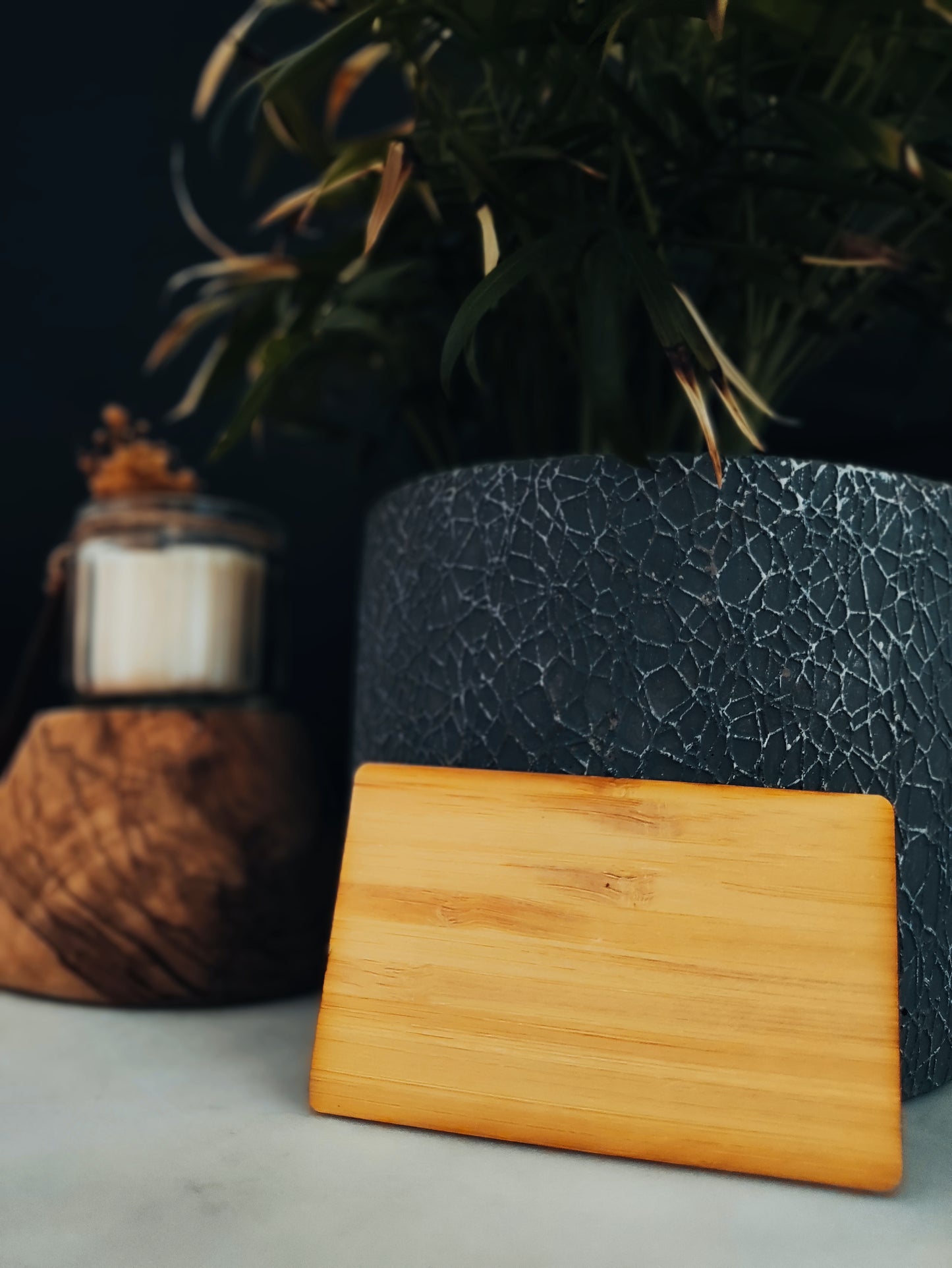 10 Cartes Pack ÉCOBAMBOU – Alliance Nature & Technologique